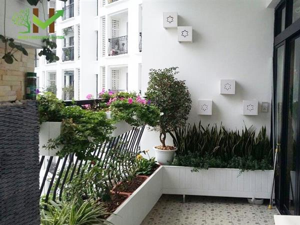 Công trình ban công xanh Chị Anh - R2B Roycity