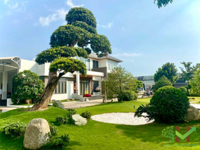 Thiết kế thi công sân vườn biệt thự